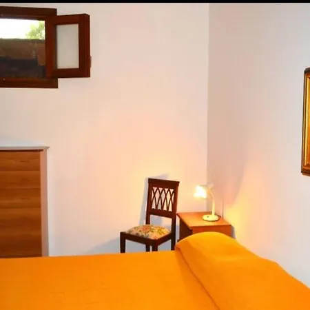 Paradise Apartment